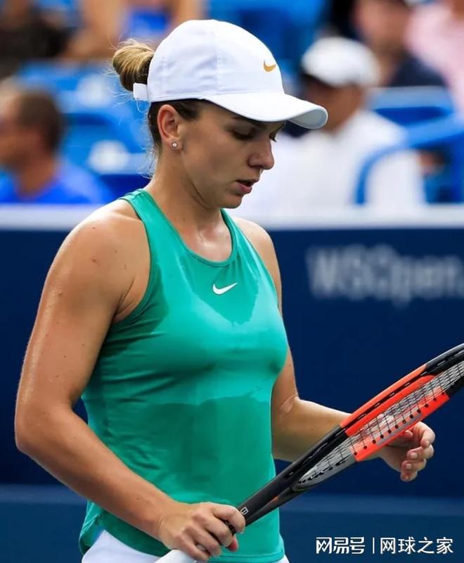 德罗赞贡献 德罗赞贡献